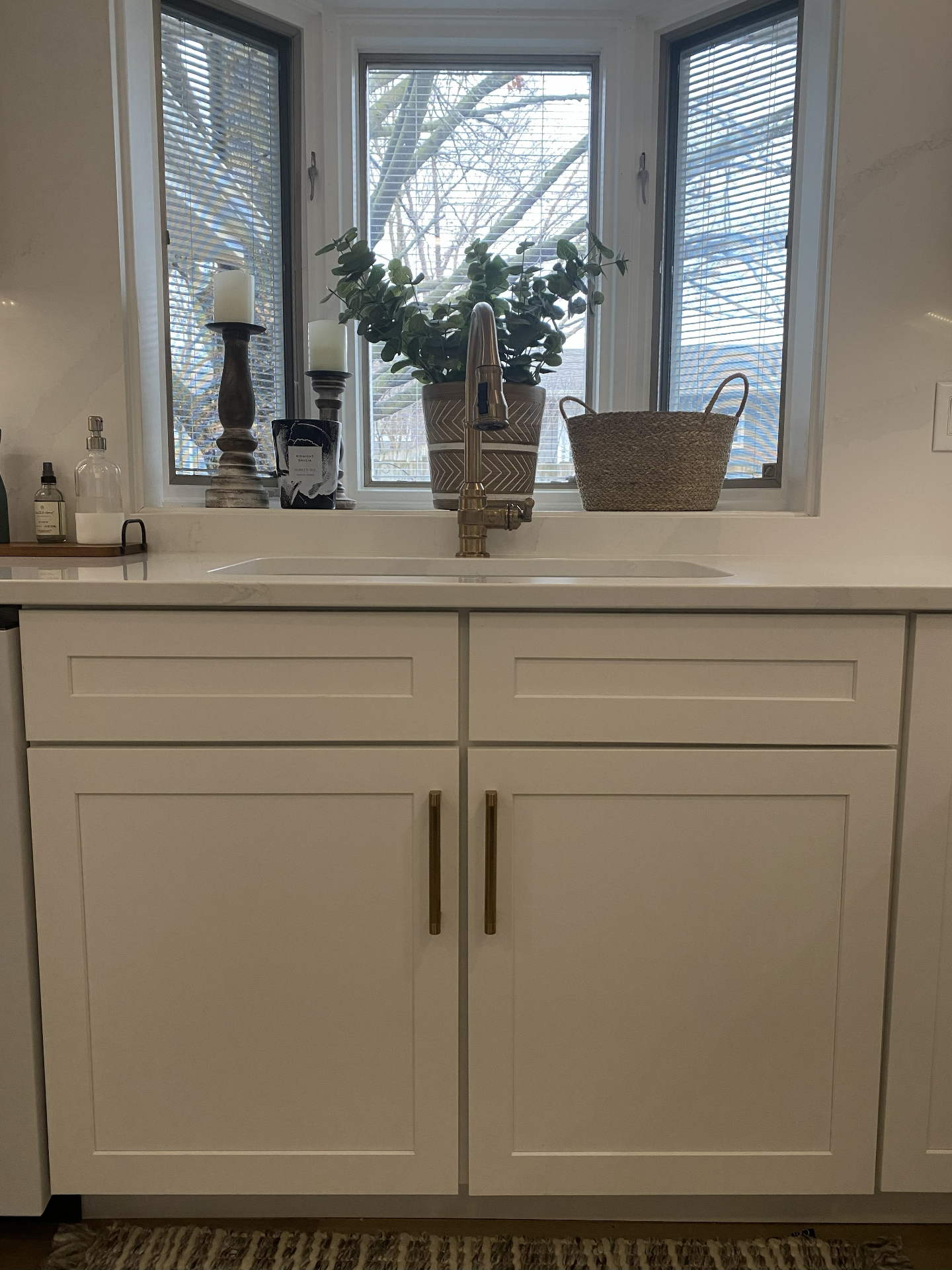 Kitchen Sink with Bay Window - Kitchen project in Cedar Valley, IA